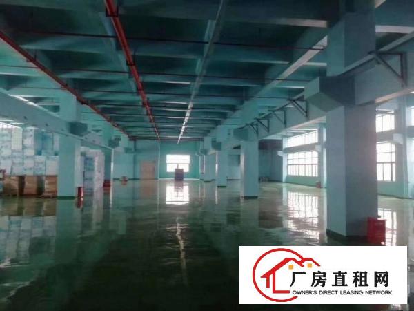  凤岗近深圳新出6米高标准一楼1100平方带装修急租