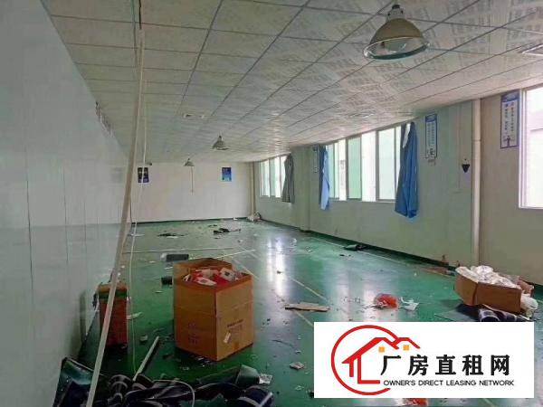  900平方现成注塑车间装配车间装修