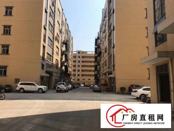  新出炉豪华办公室装修厂房，水电齐全，拎包入住，位置好！