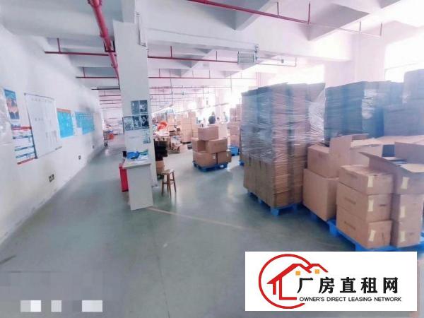  金凤凰新出楼上豪华装修1350平方公摊小价格美丽