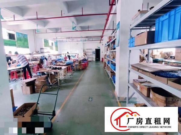  金凤凰新出楼上豪华装修1350平方公摊小价格美丽