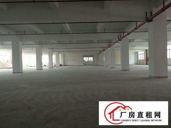  凤岗金凤凰全新楼上重工业厂房出租）1500平米带电梯厂房