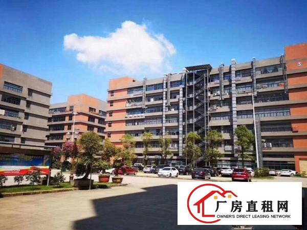  凤岗雁田新出一楼2600平米带装修水电到位厂房出租300起租