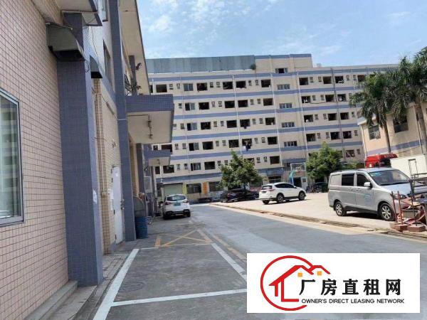  2000平方一二楼小独栋