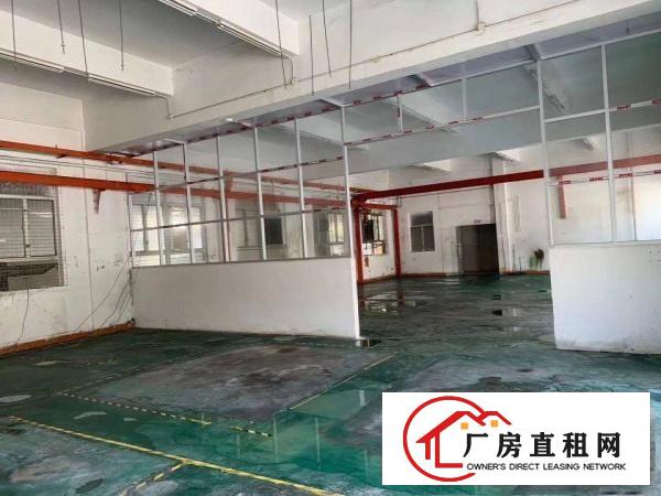  2000平方一二楼小独栋