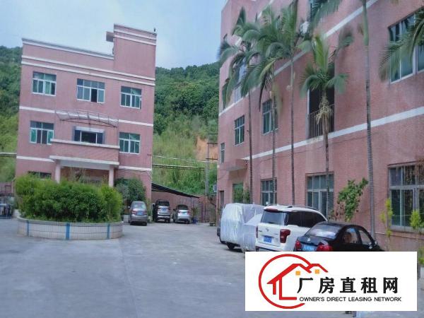  花园式独院厂房分租标准厂房一楼750平米带现成装修好水电办公