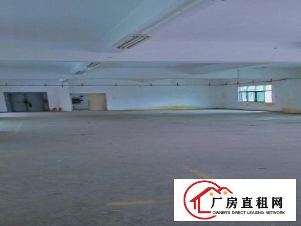 花园式独院厂房分租标准厂房一楼750平米带现成装修好水电办公