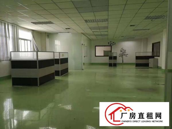  厂房出租！爆炸性消息花园式独院新出凤岗原房东厂房，豪华办公室