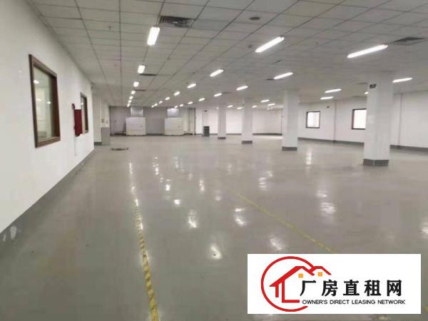  厂房出租！爆炸性消息花园式独院新出凤岗原房东厂房，豪华办公室