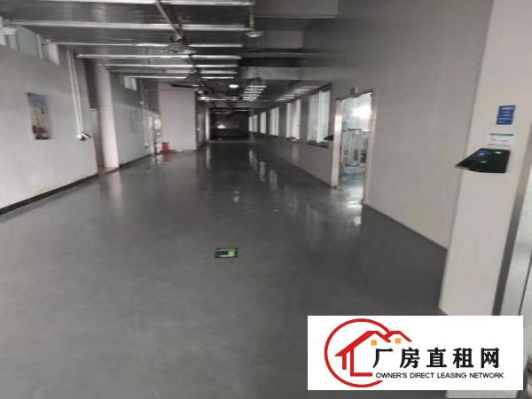  厂房出租！爆炸性消息花园式独院新出凤岗原房东厂房，豪华办公室