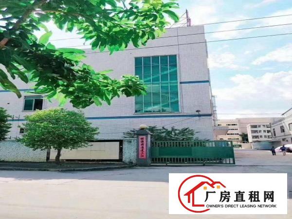  凤岗出租钢构1400平方，带行车无需转让费，高7米