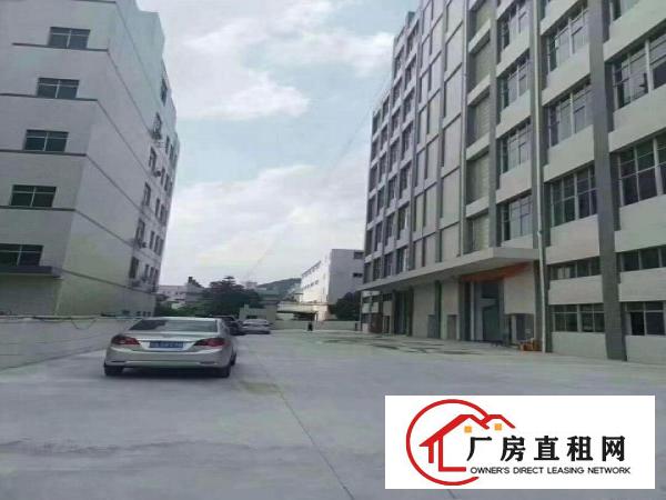  凤岗漂亮工业园厂房1560平方带豪华装修出租