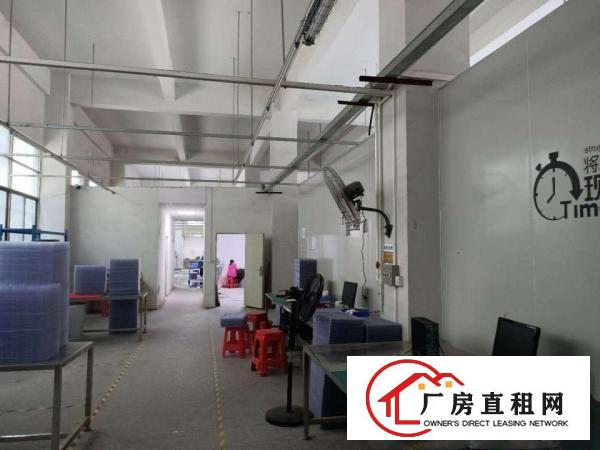 凤岗金凤凰6米高适合各行业标准一楼1000平米出租好招工
