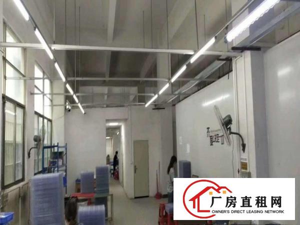  凤岗金凤凰6米高适合各行业标准一楼1000平米出租好招工