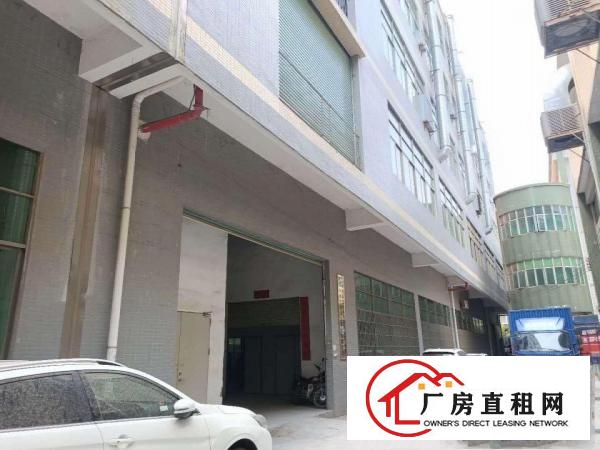  凤岗金凤凰6米高适合各行业标准一楼1000平米出租好招工