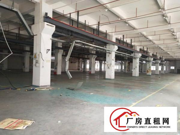  凤岗漂亮工业园空出大量厂房带装修600方起租