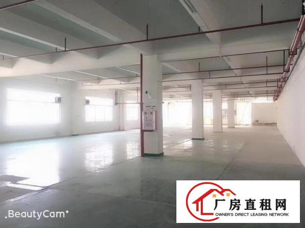  凤岗漂亮工业园空出大量厂房带装修600方起租