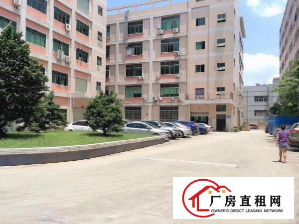  凤岗漂亮工业园空出大量厂房带装修600方起租