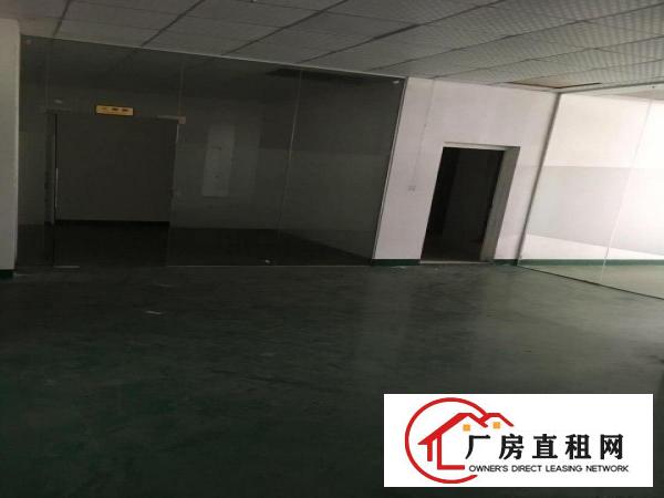  凤岗金凤凰楼上带装修办公室电子电商仓库厂房出租1200平