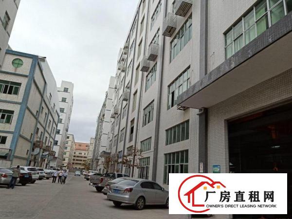  凤岗金凤凰楼上带装修办公室电子电商仓库厂房出租1200平