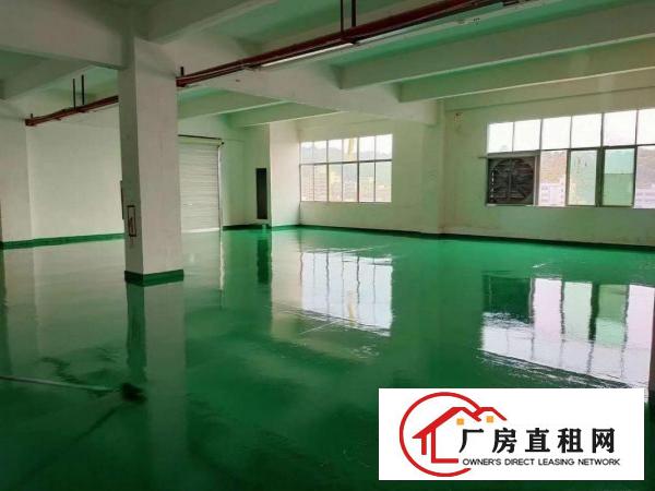  （出租）凤岗新出楼上570平全新地坪漆水电齐全