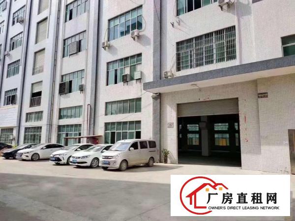  （出租）凤岗新出楼上570平全新地坪漆水电齐全