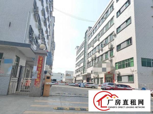  凤岗金凤凰800平厂房出租带精装修形象好交通便利