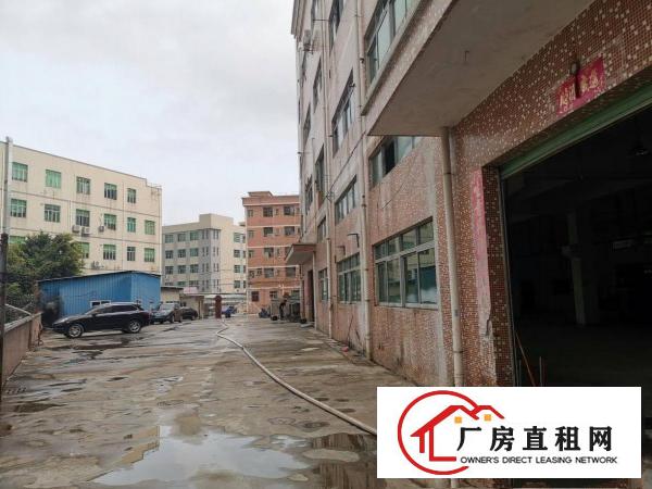  凤岗带牛角一楼厂房出租）雁田布心1000平米小面积厂房出租