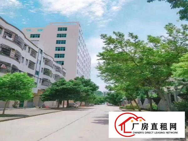  凤岗标准一楼6米高厂房出租2100平米配套齐全靠近深圳