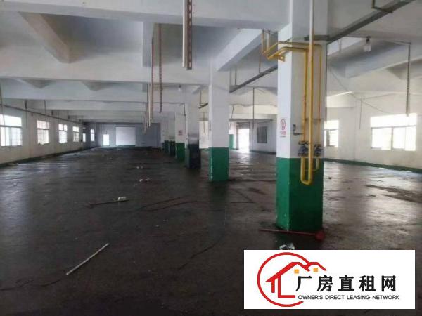  凤岗金凤凰独院一楼1800平方免费空地1100平方