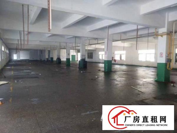  凤岗金凤凰独院一楼1800平方免费空地1100平方
