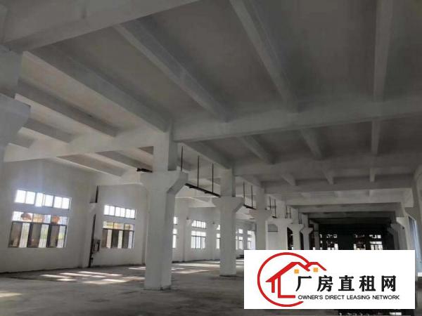  雁田布心新出一楼二楼各1180平厂房出租可分租