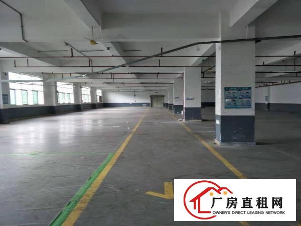  雁田布心新出一楼二楼各1180平厂房出租可分租