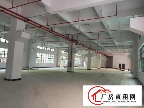  新空出独院3600平方厂房出租(可以分租)
