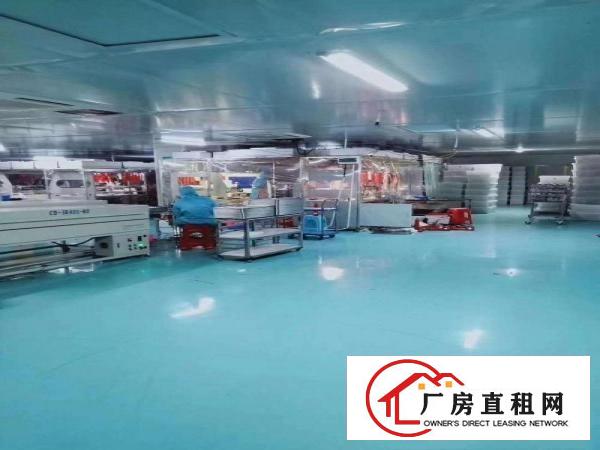  凤岗新出楼上1300平方无尘车间无需任何转让费