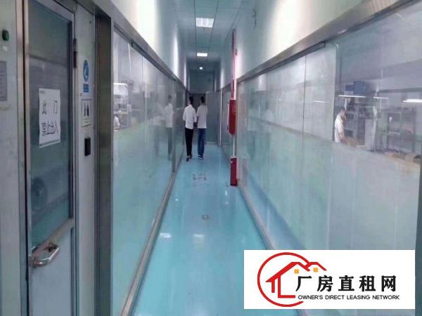  凤岗新出楼上1300平方无尘车间无需任何转让费