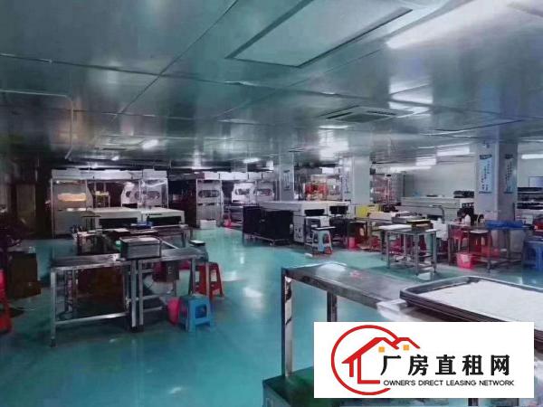  凤岗新出楼上1300平方无尘车间无需任何转让费