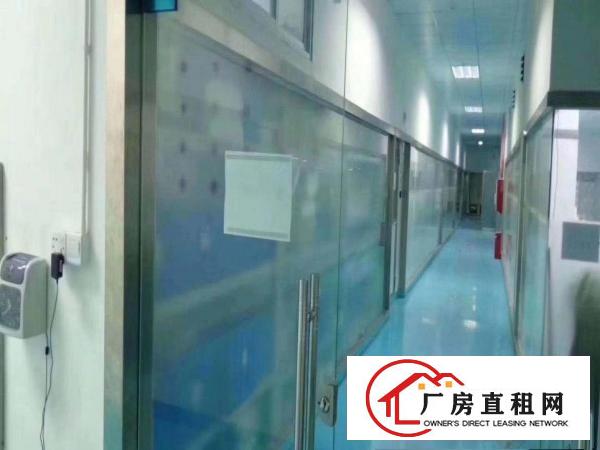  凤岗新出楼上1300平方无尘车间无需任何转让费