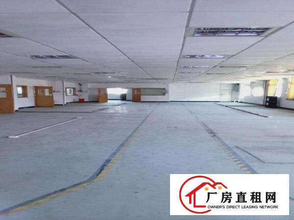 业主直租，油甘埔200平方到800平方带装修水电办公室地坪漆