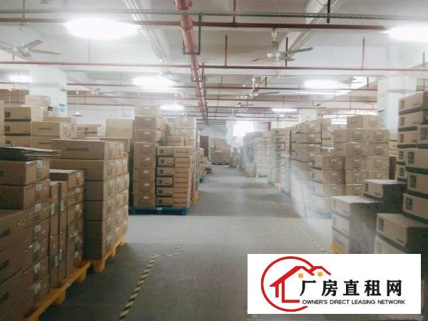  凤岗镇东深二线边上大型工业区标准厂房出租5万平300平起分