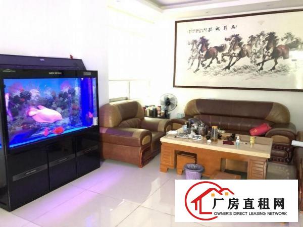  凤岗福民工业区现成贴片厂1200平方豪华装修出租