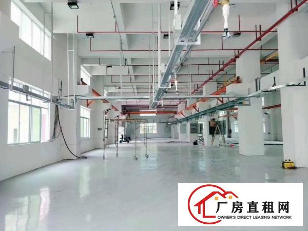  凤岗三联新出标准一楼带牛角一楼厂房2100平方。喷淋水电到位