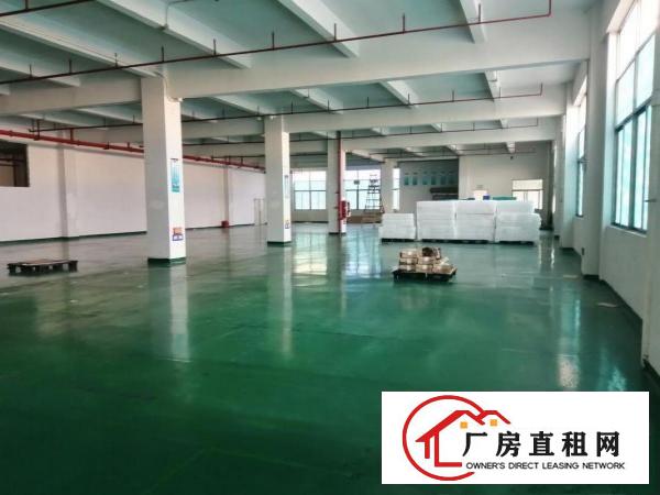  凤岗镇原房东自用重型工业独院厂房12层11000平方米出租
