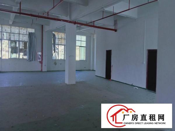  正规园区标准厂房一楼带办公室水电装修800平米业主直租