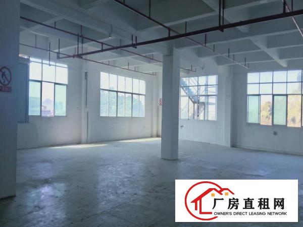  正规园区标准厂房一楼带办公室水电装修800平米业主直租