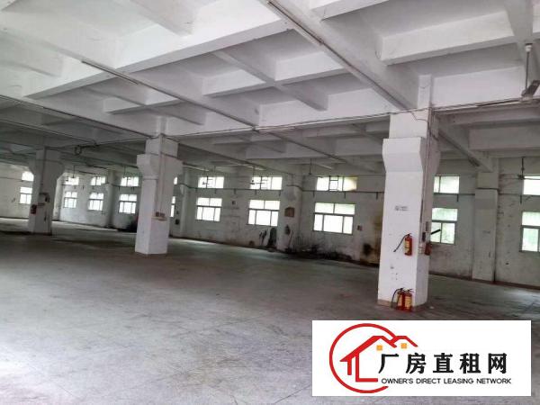  大小分租好招工凤岗雁田独门独院厂房出租7000平有电梯