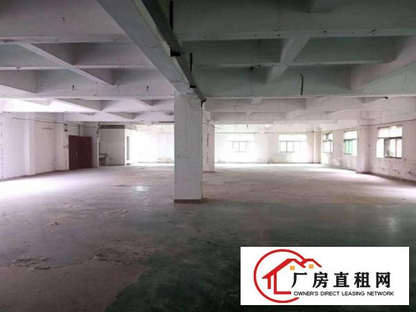  大小分租好招工凤岗雁田独门独院厂房出租7000平有电梯