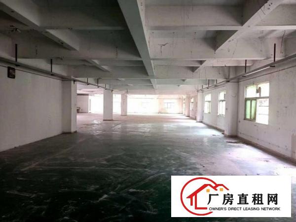  大小分租好招工凤岗雁田独门独院厂房出租7000平有电梯