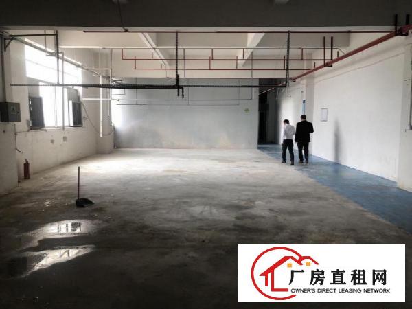  凤岗五联近观澜新出楼上780平带无尘车间办公室