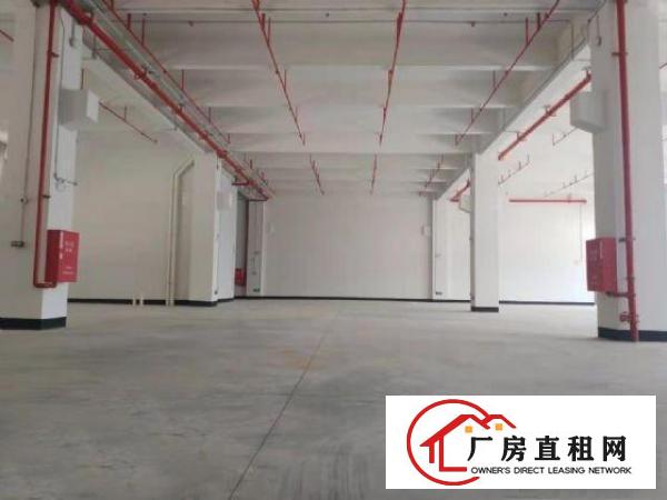  凤岗工业园全新厂房每层3000平方！消防合格，带红本